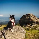 וילה Premium Eco 1888 *