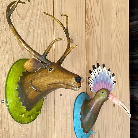 Villa Premium Eco 1888