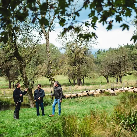 Premium Eco 1888 * バート・ザンクト・レオンハルト・イム・ラヴァントタール