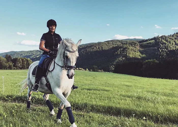 Premium Eco 1888 Willa