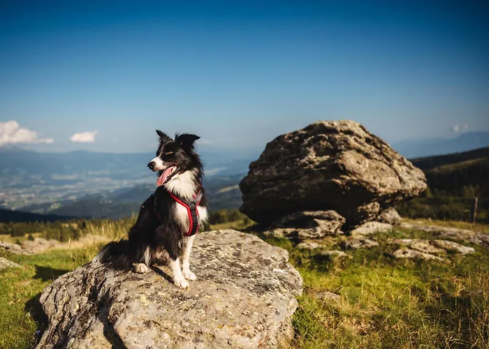 Villa Premium Eco 1888 *