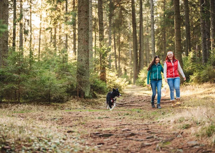 Premium Eco 1888 Willa